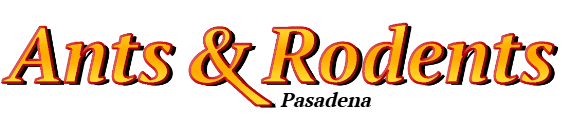 Pasadena Ant Exterminator & Rodent Control Company Logo